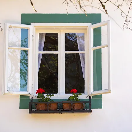 Guapa Apartment *