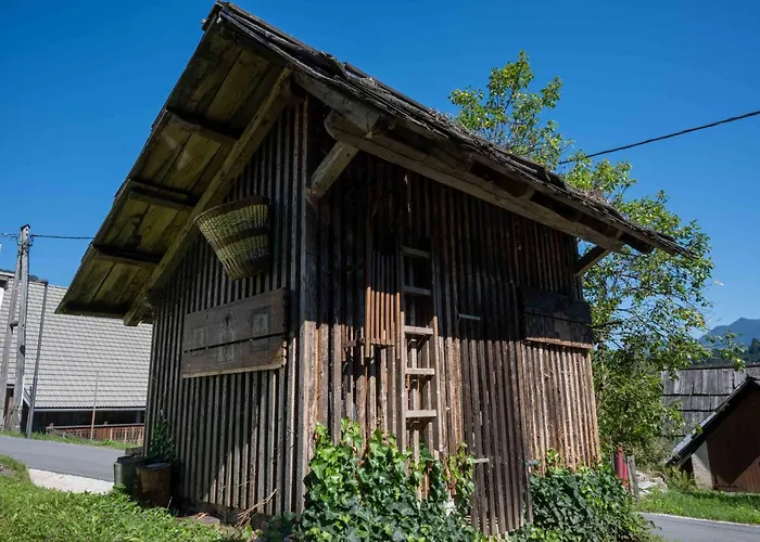 דירה Guapa בוהין